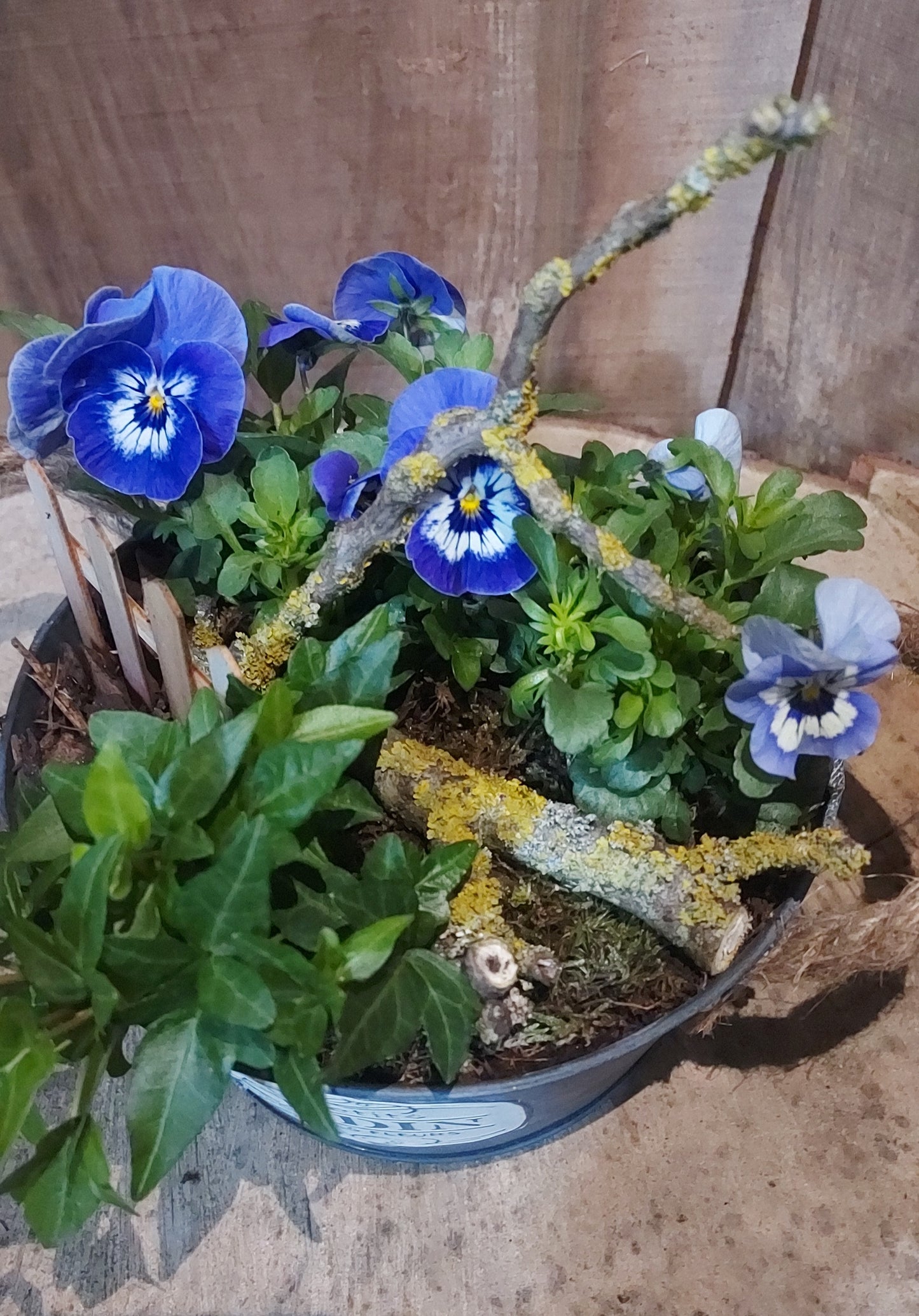 Au petit jardin