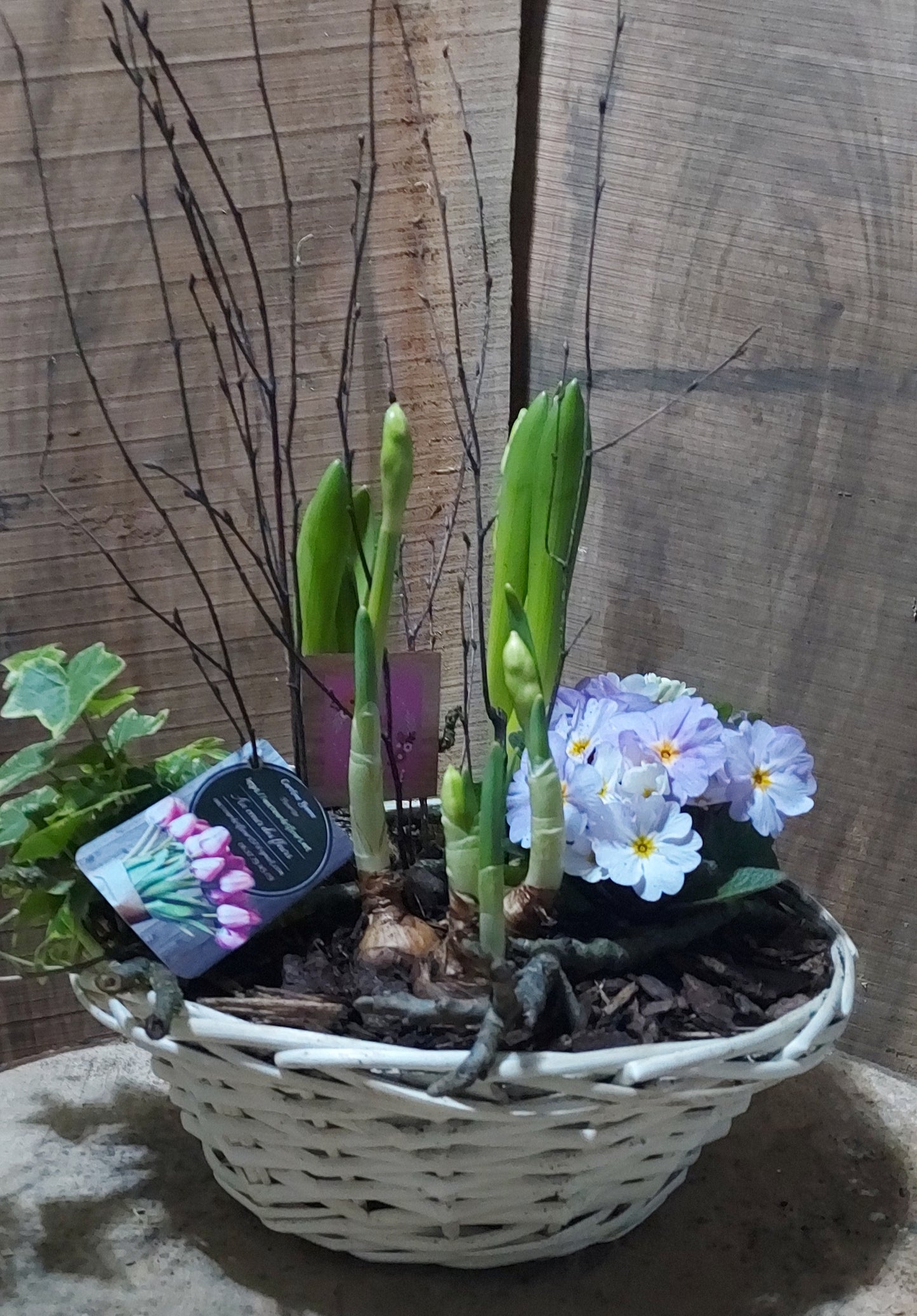 Printemps