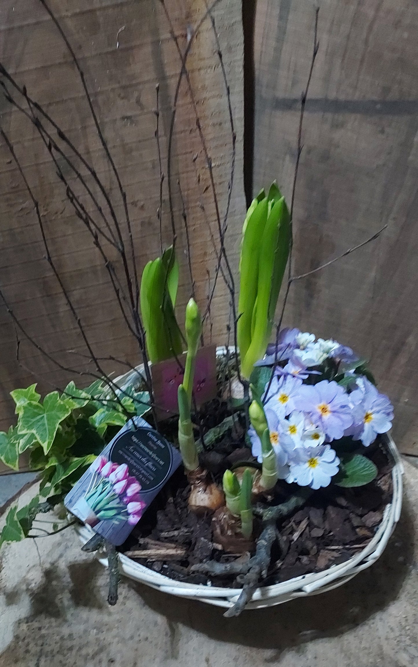Printemps